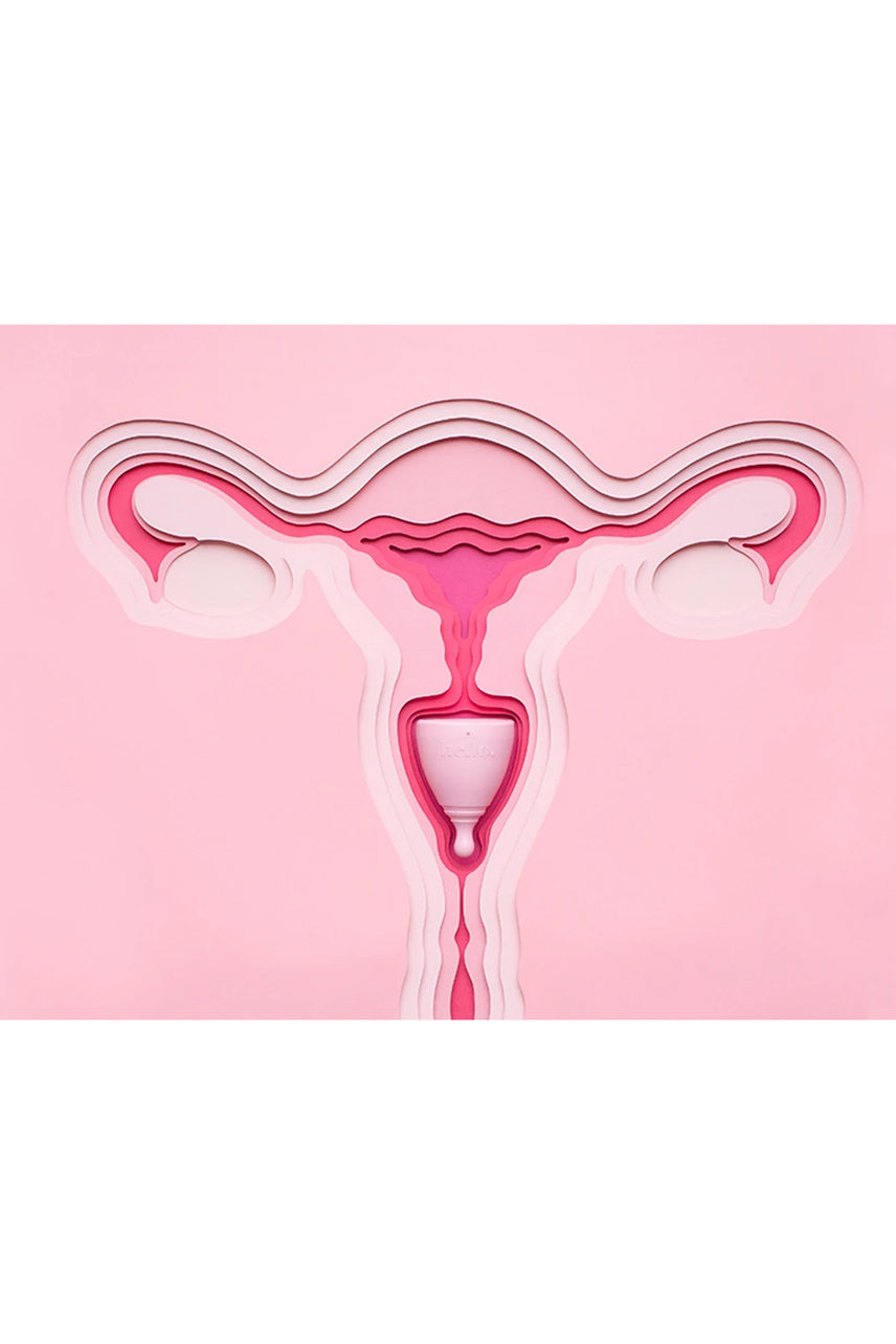 HELLO Cup Double Box - Small/Medium Blue & Large Blush - Life Pharmacy St Lukes