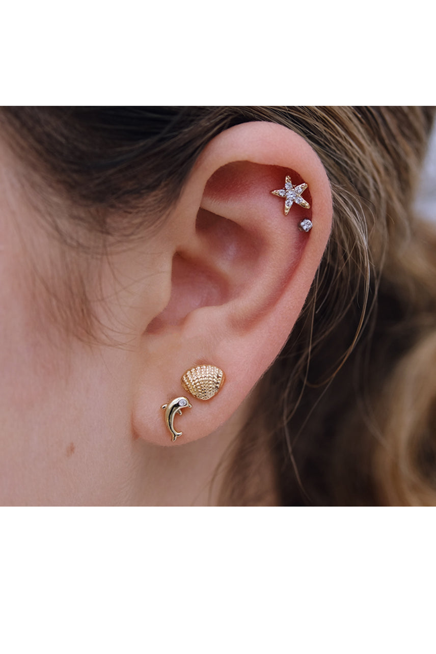 EURO 53370 Shell + Dolphin + Starfish Trio - Life Pharmacy St Lukes