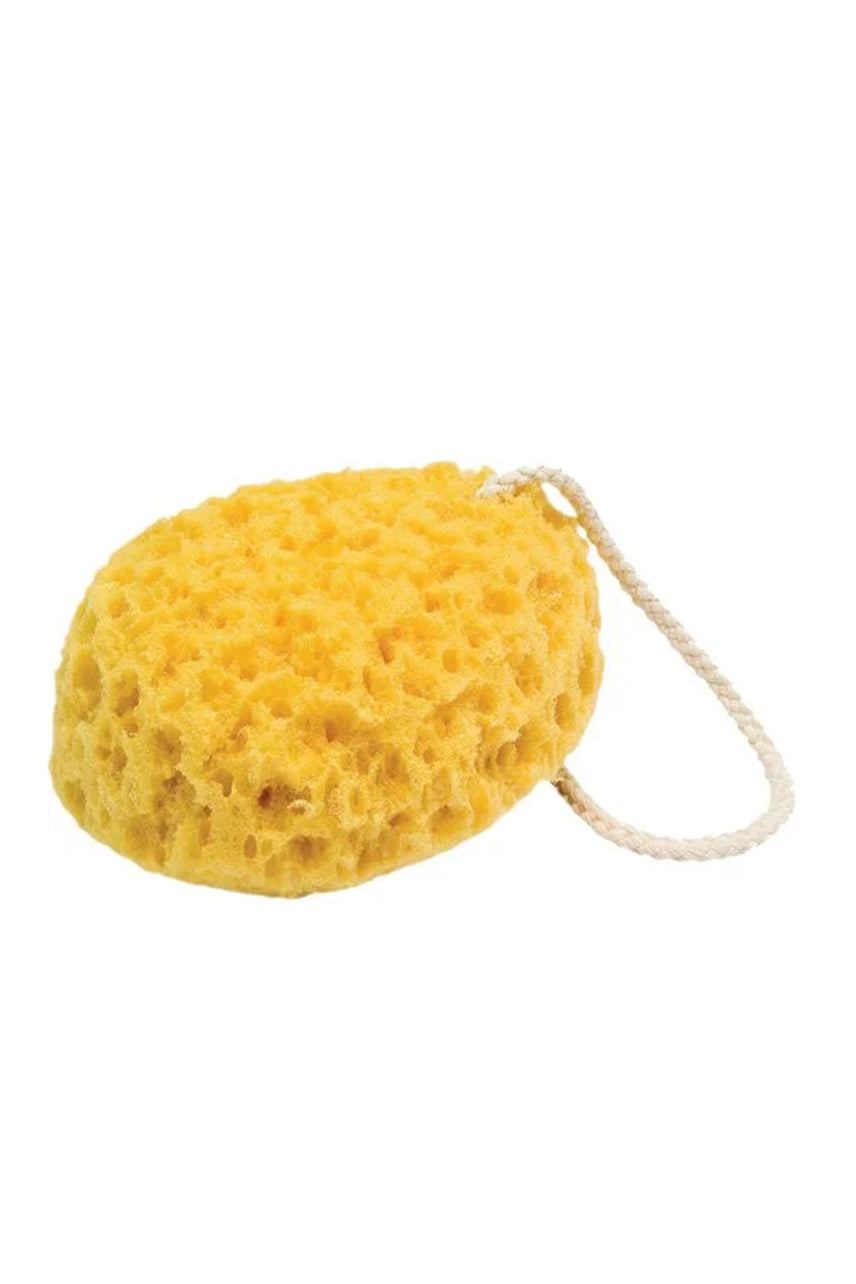 QVS 10-2030 Large Sea Sponge - Life Pharmacy St Lukes