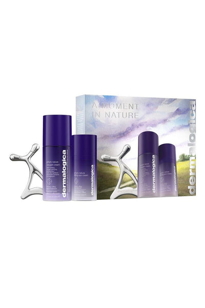 Dermalogica A Moment in Nature Gift Set 3pcs