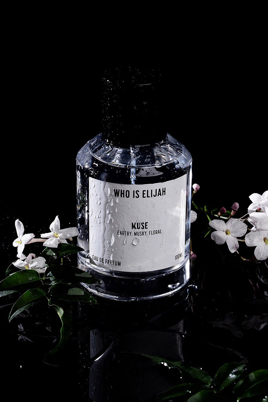 WHO IS ELIJAH Muse EDP 30ml - Life Pharmacy St Lukes