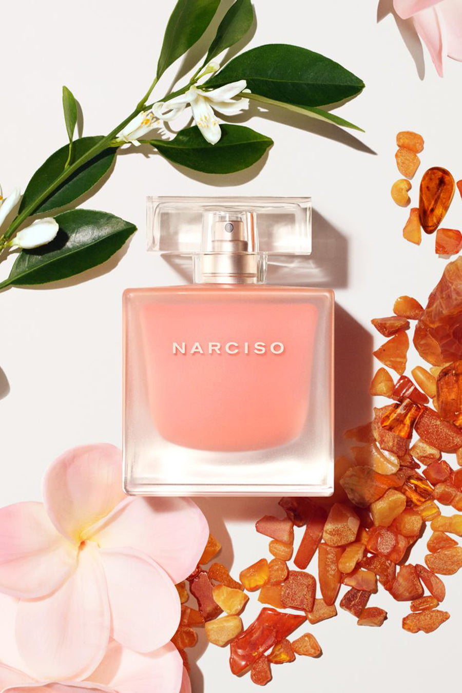 NARCISO RODRIGUEZ Ambree Neroli EDT 50ml - Life Pharmacy St Lukes